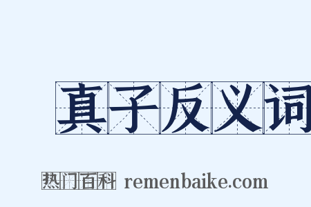 嬾真子反义词是什么意思的图片